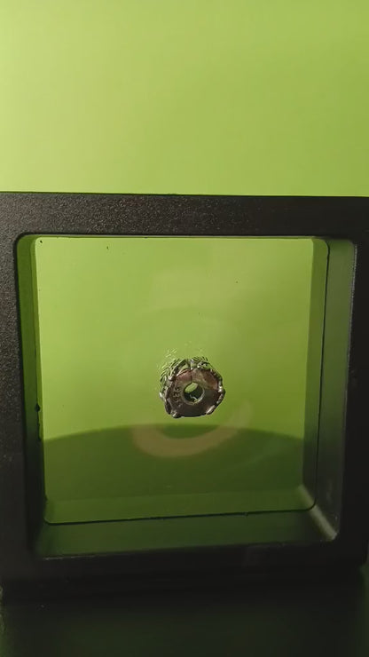 Клипс „Пеперуден полет“